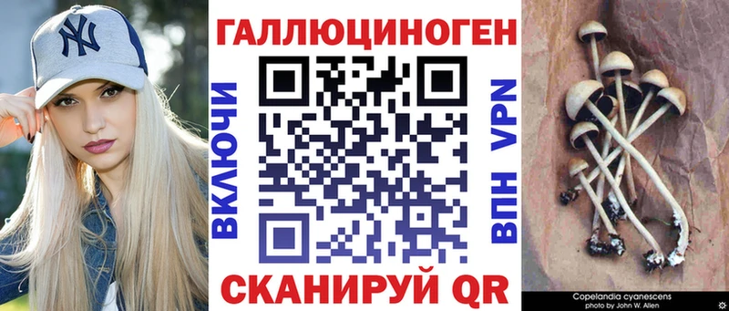 Галлюциногенные грибы Psilocybine cubensis  гидра tor  Калач-на-Дону 