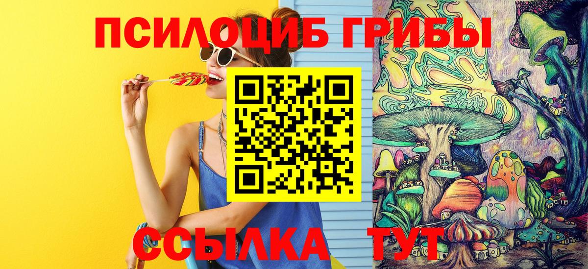 Псилоцибиновые грибы ЛСД  Псилоцибиновые грибы прущие грибы  где купить наркотик  Калач-на-Дону  Вход с VPN 